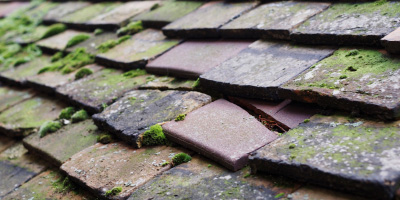 Swiss Valley roof repair costs